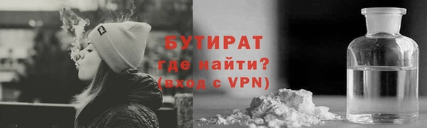 молекула духа Снежногорск