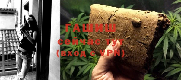 молекула духа Снежногорск